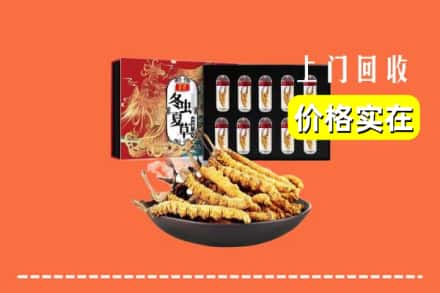 福州市仓山回收冬虫夏草